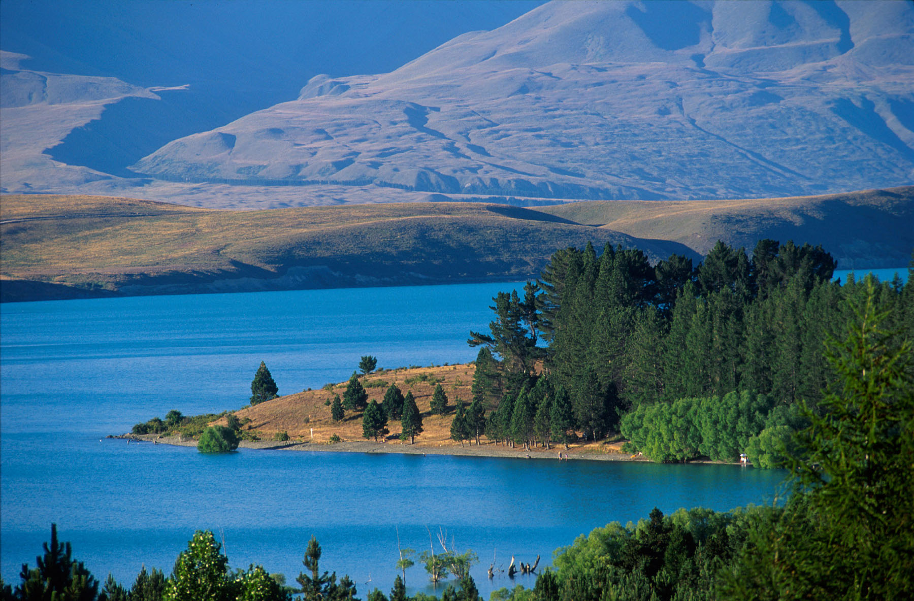 Lake Tekapo